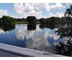 Lonley,horney looking - m4w - 60 - Lakeland FL