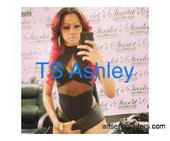 TS Ashley 10 hosting ONLY READY NOW - t4m - Miami FL