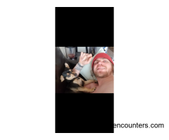 Nate! 34 phx Az - m4w - 34 - Phoenix AZ