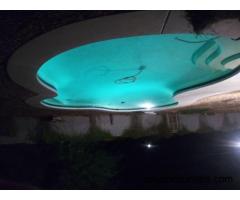 male talent seeks female talent for shows - m4w - 51 - Casa Grande AZ