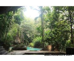 Asian male looking another male friend - m4m - 40 - Chandler AZ