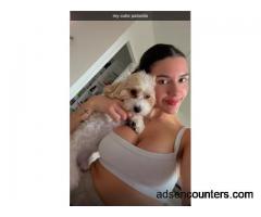 Looking for now or sometime today/tonight - w4m - 29 - Los Angeles CA