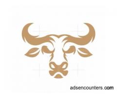 Kinks and Fantasies Friendly BLC Free for Sexually Frustrated Lady - m4w - Toronto ON