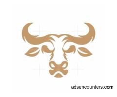 Confident Alpha Male Looking for His Submissive Match - m4w - Toronto ON