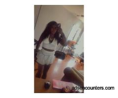 Just arrived New to the area Sexy mixed breed Exotic beauty - t4m - Chicago IL