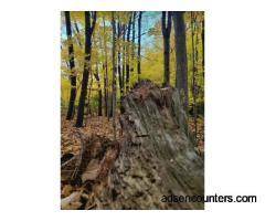Fearless Woman for Fun at G-Ross, Burnett Park or Earl Bales Park