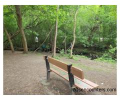 Fearless Woman for Fun at G-Ross, Burnett Park or Earl Bales Park