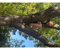 Looking for thick women to crush my skull - m4w - 19 - Holly Springs NC