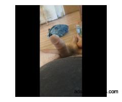 Looking for some fun with a large breasted woman - m4w - 39 - Columbus OH